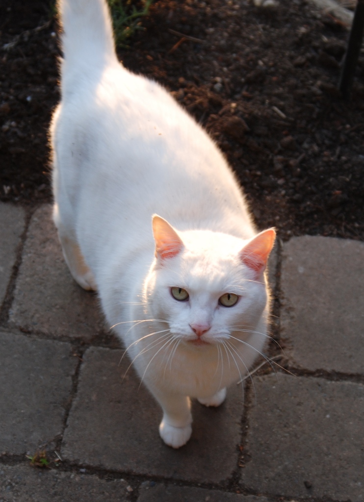 archives for july 2008